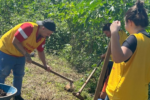 Meio Ambiente realiza plantio de 300 árvores em área degradada em Cumbica